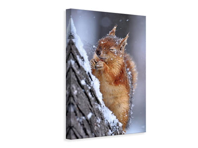 canvas-print-winter-xwg