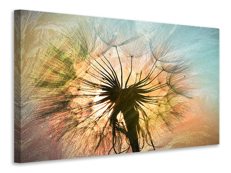 canvas-print-xxl-dandelion