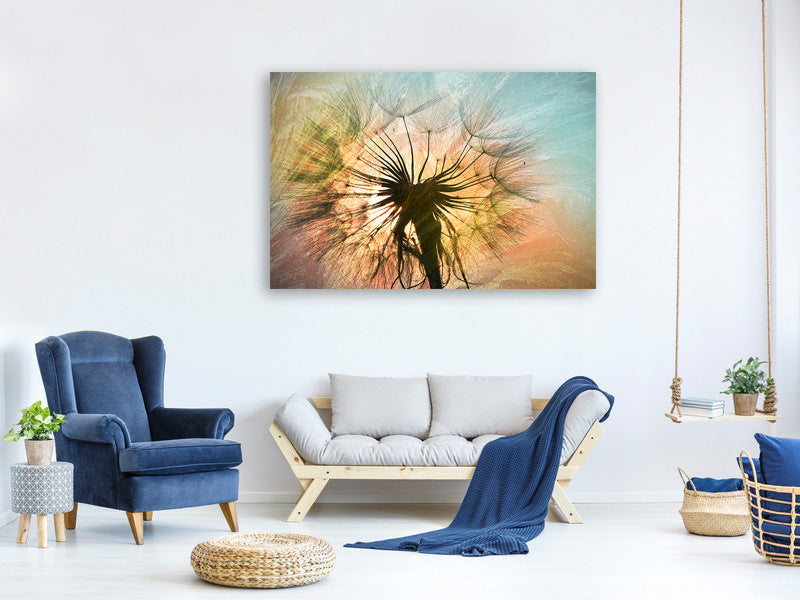 canvas-print-xxl-dandelion