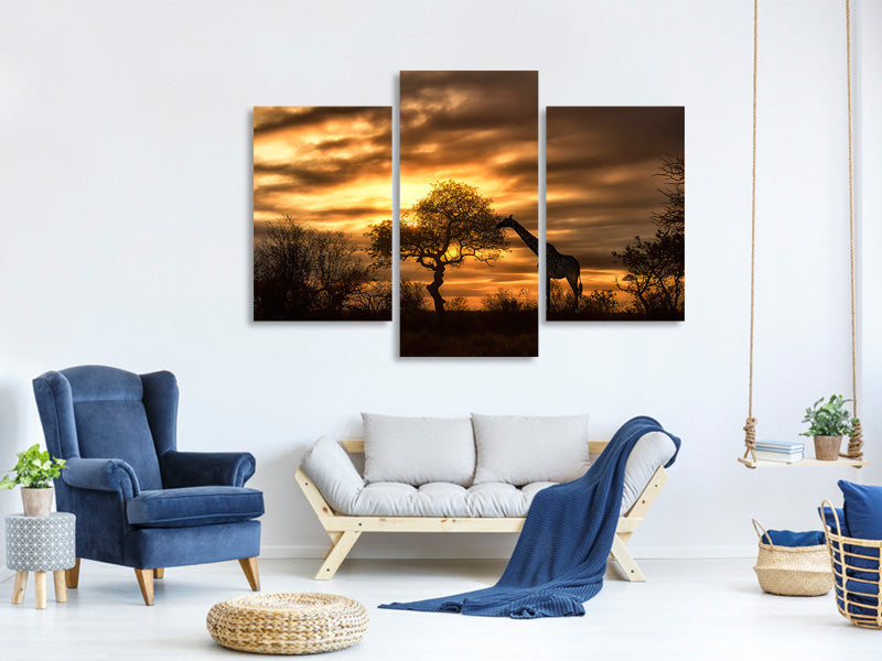 modern-3-piece-canvas-print-african-dreams