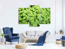 modern-3-piece-canvas-print-all-basil