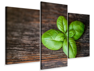 modern-3-piece-canvas-print-basil-leaf-in-xxl