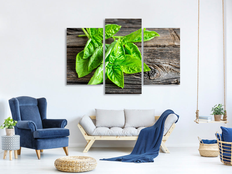 modern-3-piece-canvas-print-basil-leaves-ii