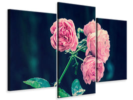 modern-3-piece-canvas-print-beautiful-pink-roses