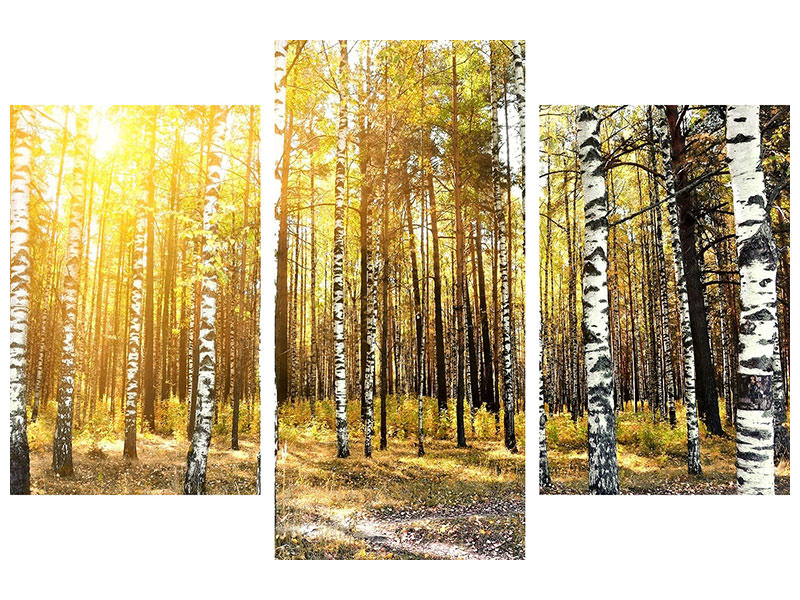 modern-3-piece-canvas-print-birch-forest