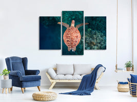 modern-3-piece-canvas-print-flying-over-the-reef