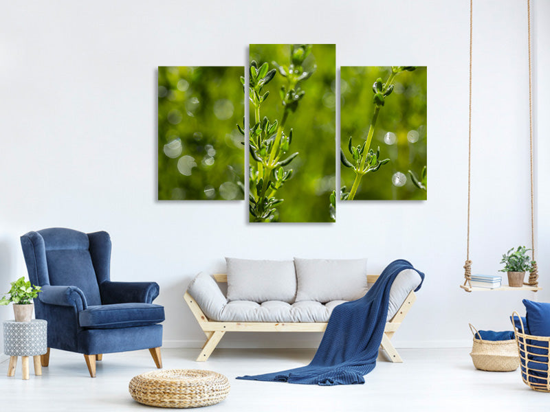 modern-3-piece-canvas-print-fresh-thyme