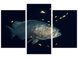 modern-3-piece-canvas-print-giant-grouper