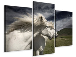 modern-3-piece-canvas-print-interplay