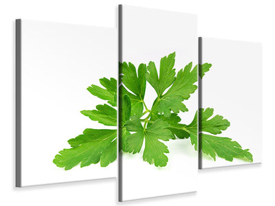 modern-3-piece-canvas-print-leaves-of-parsley