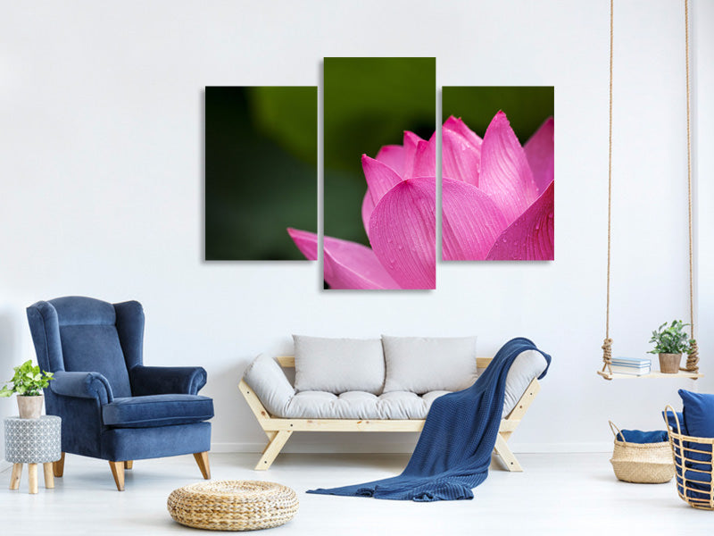 modern-3-piece-canvas-print-marko-lotus-in-pink