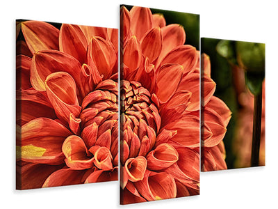 modern-3-piece-canvas-print-painting-of-a-dahlia