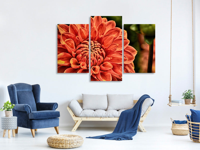 modern-3-piece-canvas-print-painting-of-a-dahlia