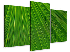 modern-3-piece-canvas-print-palm-stripe-i