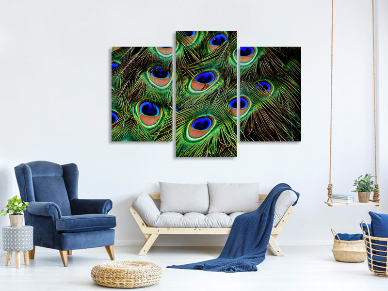 modern-3-piece-canvas-print-peacock-feathers-xxl