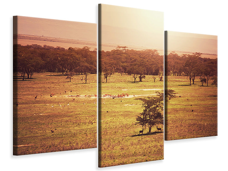 modern-3-piece-canvas-print-picturesque-africa