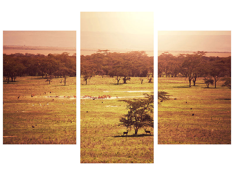 modern-3-piece-canvas-print-picturesque-africa