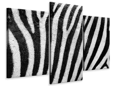 modern-3-piece-canvas-print-strip-of-the-zebra