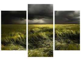 modern-3-piece-canvas-print-summer-weather