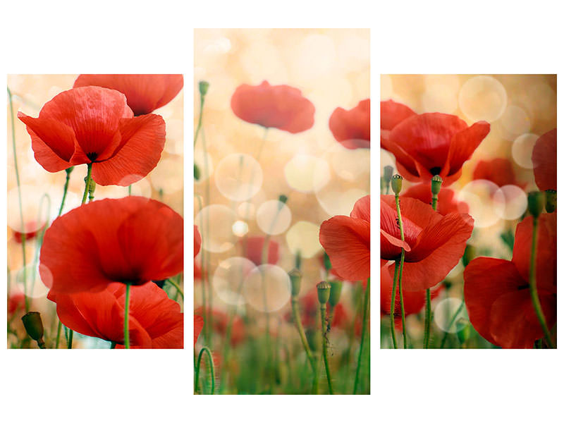 modern-3-piece-canvas-print-the-poppy