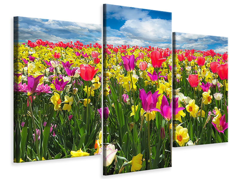 modern-3-piece-canvas-print-the-spring-awakening