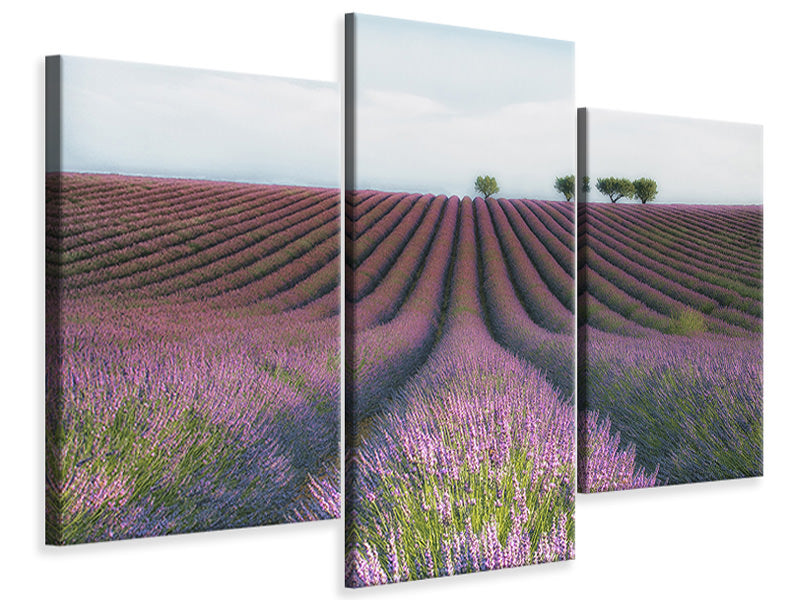 modern-3-piece-canvas-print-velours-de-lavender