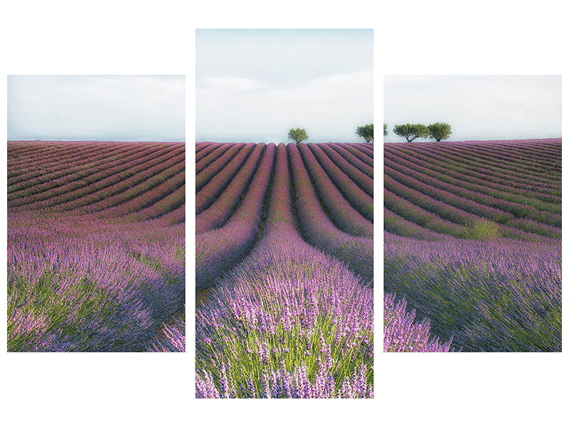 modern-3-piece-canvas-print-velours-de-lavender