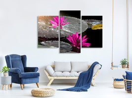 modern-3-piece-canvas-print-water-lily-in-the-morning-dew