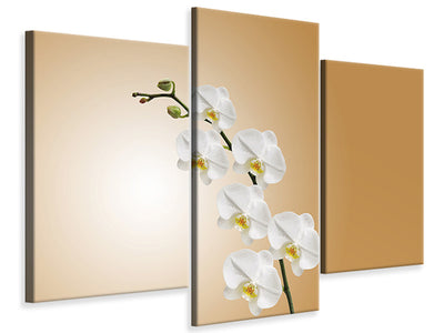 modern-3-piece-canvas-print-white-orchids-xl