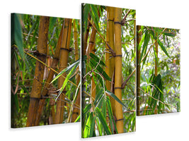 modern-3-piece-canvas-print-wild-bamboo