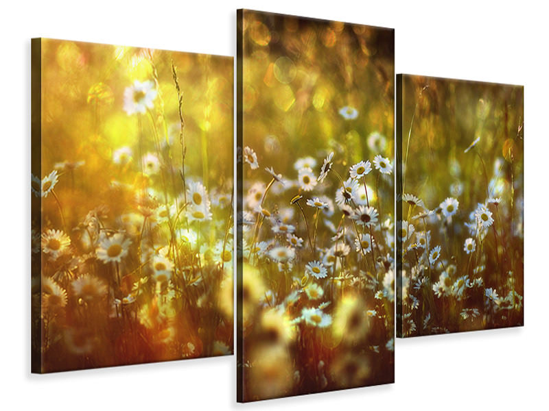 modern-3-piece-canvas-print-wonderland