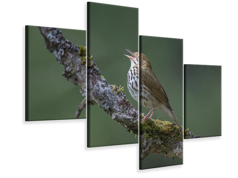 modern-4-piece-canvas-print-in-the-forest-p