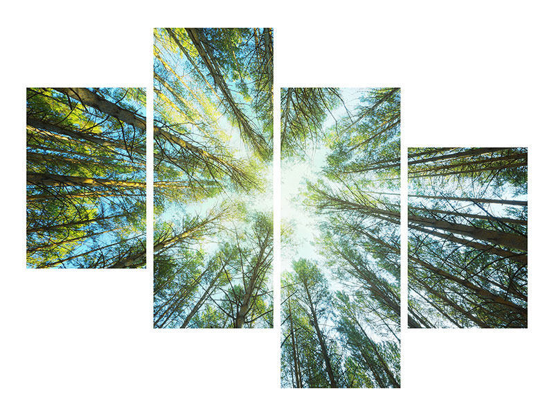 modern-4-piece-canvas-print-pine-forest