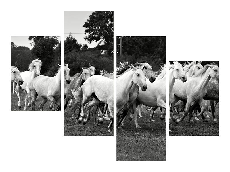 modern-4-piece-canvas-print-the-mustang-herd