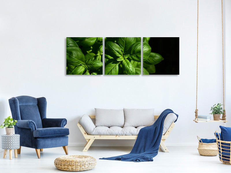 panoramic-3-piece-canvas-print-basil-in-xl