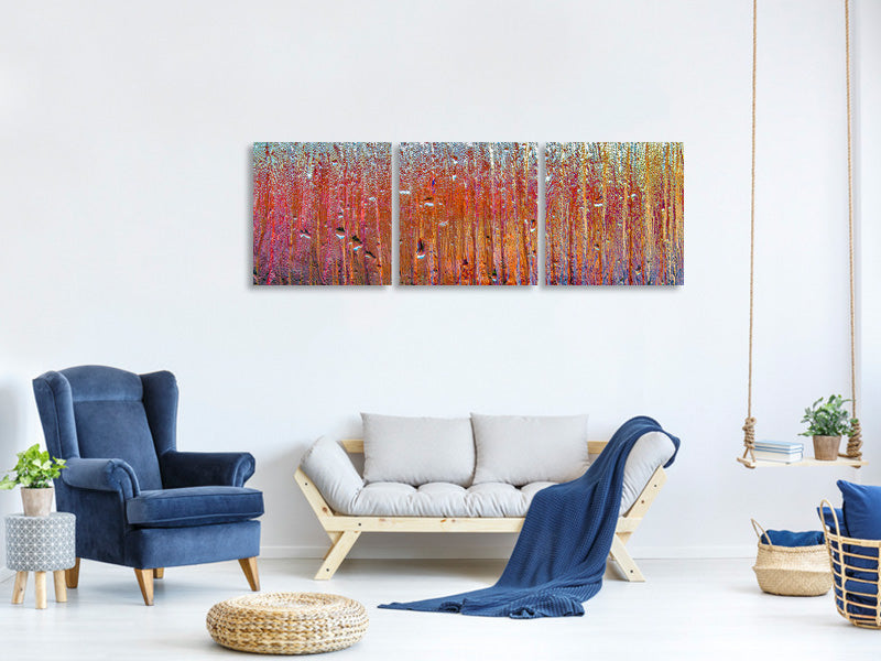 panoramic-3-piece-canvas-print-behind-glass