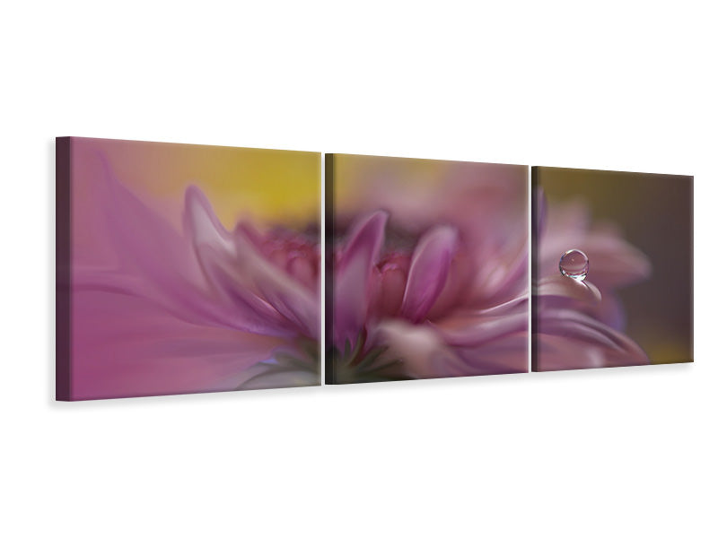 panoramic-3-piece-canvas-print-beyond-words