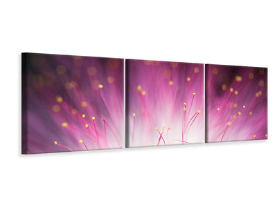 panoramic-3-piece-canvas-print-elfin