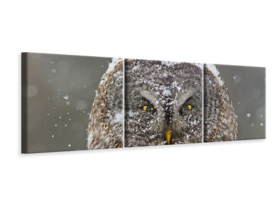 panoramic-3-piece-canvas-print-great-grey-owl-winter-portrait