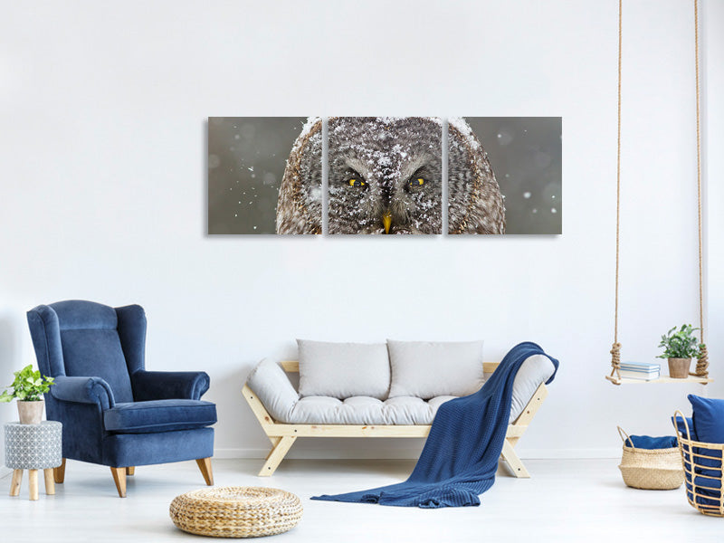 panoramic-3-piece-canvas-print-great-grey-owl-winter-portrait