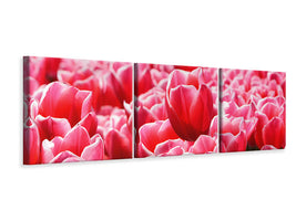 panoramic-3-piece-canvas-print-happy-tulip-field