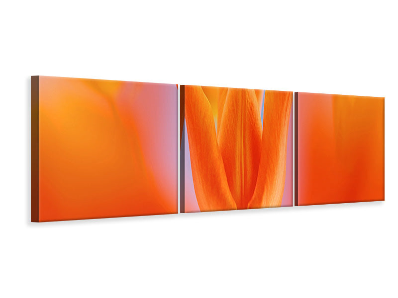 panoramic-3-piece-canvas-print-kensaki-tulip