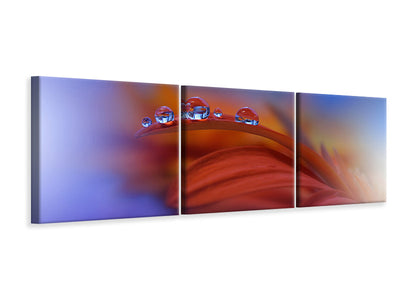 panoramic-3-piece-canvas-print-metamorphosis