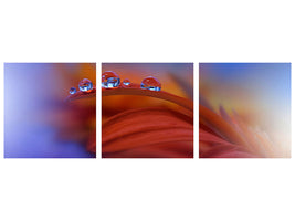 panoramic-3-piece-canvas-print-metamorphosis