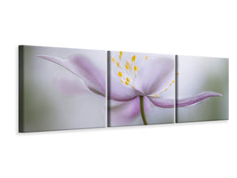 panoramic-3-piece-canvas-print-nemorosa-ii