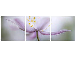 panoramic-3-piece-canvas-print-nemorosa-ii