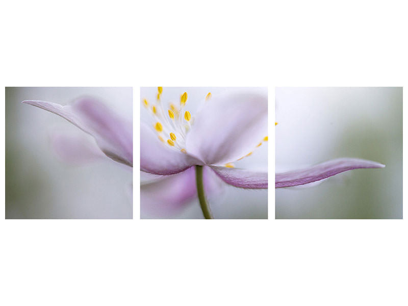 panoramic-3-piece-canvas-print-nemorosa-ii