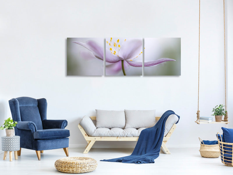 panoramic-3-piece-canvas-print-nemorosa-ii