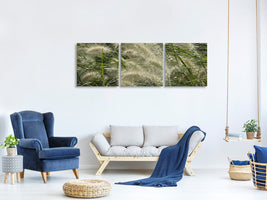 panoramic-3-piece-canvas-print-ornamental-grass-in-the-wind