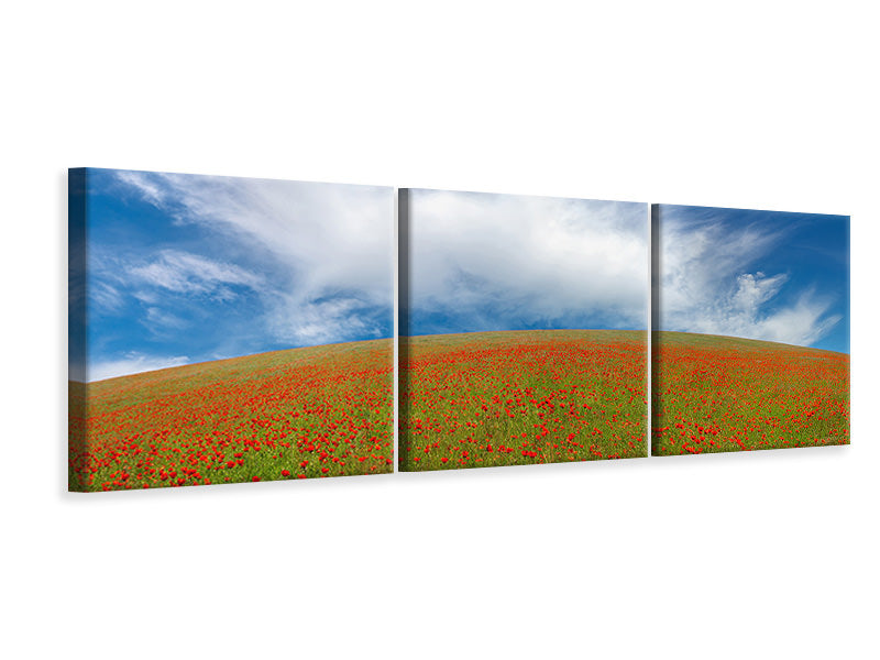 panoramic-3-piece-canvas-print-red-poppies